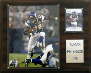 Minnesota Vikings Plaque - Adrian Peterson 12''x15'' Player
