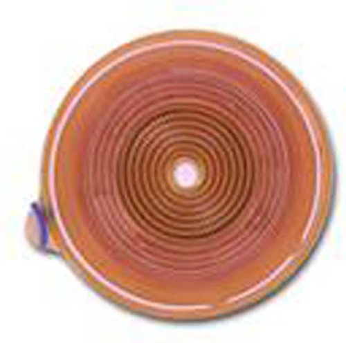 large image