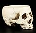 Skeleton Skull Medium Kitchen Bowl Figurine