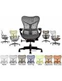 Herman Miller Mirra Chair; Fully Loaded; Color