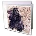 cocker_spaniel13cocker spaniel - Dogs Cocker Spaniel Black Cocker Spaniel Greeting Cards6