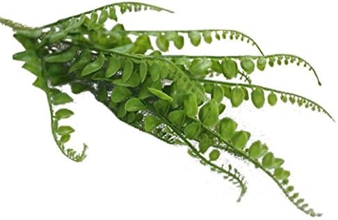 Cocoinn Artificial Plastic Plant Eucalyptus For Home Wedding Decor (Green)