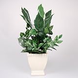 Greenery Ledge Hosta Silk Plant & Flower Floral Arrangement Centerpiece Arrangement