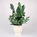 Greenery Ledge Hosta Silk Plant & Flower Floral Arrangement Centerpiece Arrangement