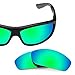 Revant Polarized Replacement Lenses for Costa Saltbreak EliteRogue Green MirrorShield