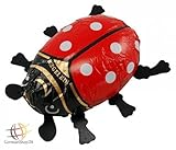 Riegelein Large Chocolate Ladybug Gift 50g