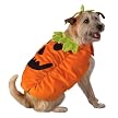 ORANGE PET COSTUME - PUMPKIN - LARGE