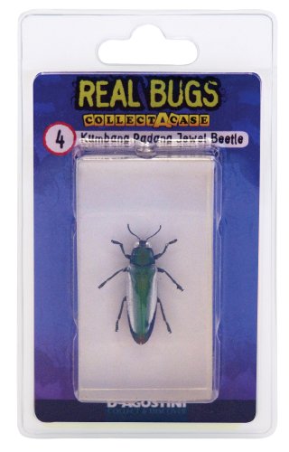 DeAgostini Real Bugs Kumbang Padang Jewel Beetle Bug