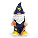 Forever Collectibles NCAA West Virginia Mountaineers Mini 8 Inch Team Gnome