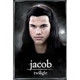 Twilight Movie Poster Jacob