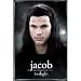 Twilight Movie Poster Jacob Poster Print, 24x36