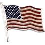 14K White Gold American Flag Lapel Pin