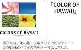 ��COLORS OF HAWAII��2012ǯ��������