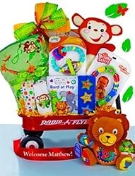 Baby Einstein Wild Wilderness Gift Basket