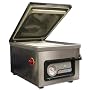 VacMaster VP210C Dry Piston Pump Chamber Machine, Metallic