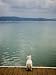 Dog Overlooking Lago Trasimeno Art Photographic Poster Print by James Braund, 12x16