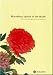 Marvelous Sparks of the Brush - Painting & Calligraphy, Books & Documents bei Bücher zum Namen: 41vGdLPEnYL._SL75_