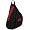 Arkansas Razorbacks