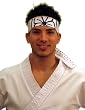 Karate Kid Mr Miyagi Daniel Movie Headband