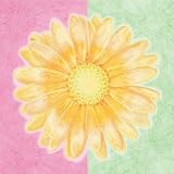 41vGpnyWUUL. SL160  Canvas Wall Art Sundrop Daisy/Fun Flower