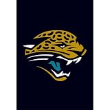 Jacksonville Jaguars Garden/Window Flag