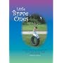 Little Brave Ones: For Children Who Battle Cystic Fibrosis