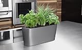 41vH0E1FGJL. SL160  Windowsill Self Watering Planter   Silver