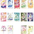Sailor Moon Complete Collection (in Japanese)