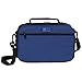 Laptop Lunches Bento-ware Insulated Lunch Tote, Blue