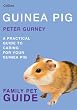 cage guinea pig