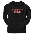 Aerosmith - 3D Wings Hoodie