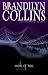 Web of Lies (Hidden Faces Series #4)