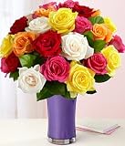 Two Dozen Long Stemmed Rainbow Roses by Proflowers Big Save