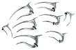 316L Surgical Stainless Steel Tribal Fang Claw, 12g - Sold as a Pair