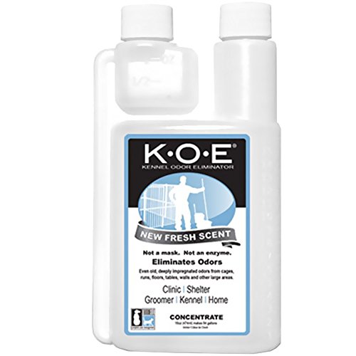 KOE Concentrate Fresh Scent (16 oz)