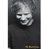 Ed Sheeran (Profile) - Maxi Poster - 61cm x 91.5cm