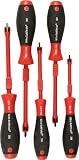 SF Screw Holding SL/Ph 5 Pc Set