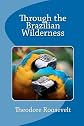 Through The Brazilian Wilderness
