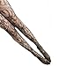 Broadfashion Women Sexy Fashion Fish Net Lace Patterned Pantyhose Tights Stockings