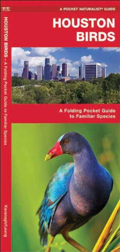 Houston Birds: A Folding Pocket Guide to Familiar Species of the Upper Texas Coast (Pocket Naturalist Guide Series)