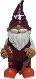 Virginia Tech Hokies 2008 Team Gnome
