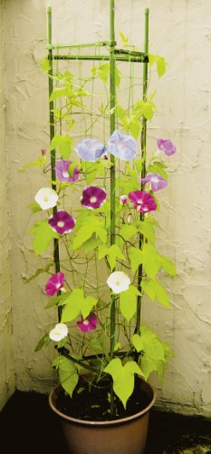 DAIM　ネット付サポート支柱　φ11×150cm　キュウリやエンドウ、アサガオやクレマチスにつる性植物をしっかりとサポート！