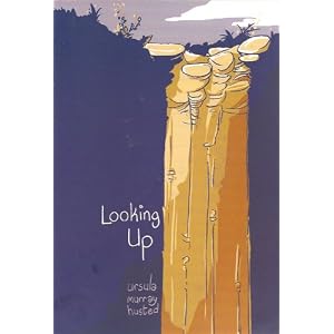 Looking Up cover
