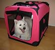 Hot Pink - The Ideal Pet Soft Crate / Carrier for Travel, Indoor and Outdoor - Large
