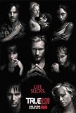 True Blood  RARE Season 2 Character Poster  Art PRINT Poster 1100 X 1700