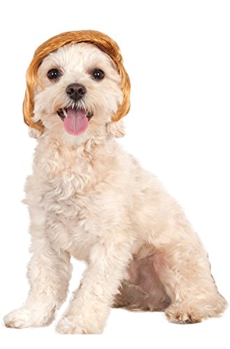 Rubies-Costume-Company-Political-Billionaire-Wig-for-Pet