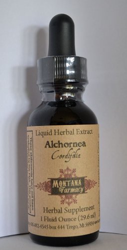 Alchornea Cordifolia Natural Extract Tincture (1oz)