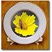 Wildflower Lance Leaf Coreopsis - 8 Inch Porcelain Plate