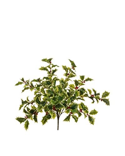 Forever Greens!  Decorazione Natalizia Agrifoglio Variegato