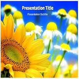 Flower Background Powerpoint Templates - Flower Background With Powerpoint Slides